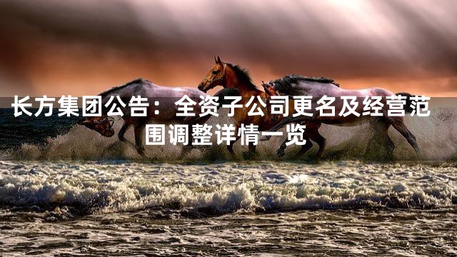 长方集团公告：全资子公司更名及经营范围调整详情一览