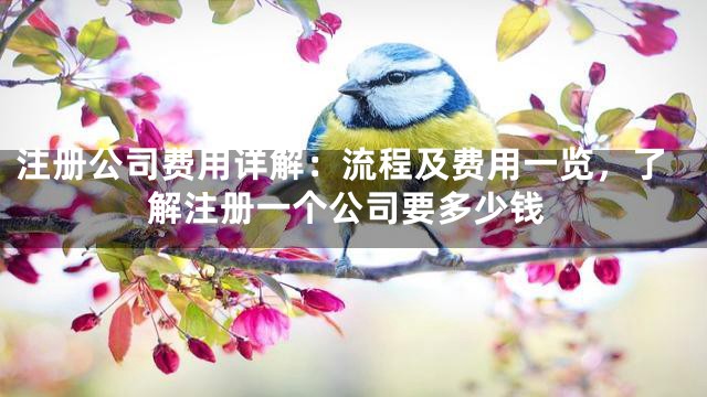 注册公司费用详解：流程及费用一览，了解注册一个公司要多少钱