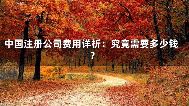 中国注册公司费用详析：究竟需要多少钱？
