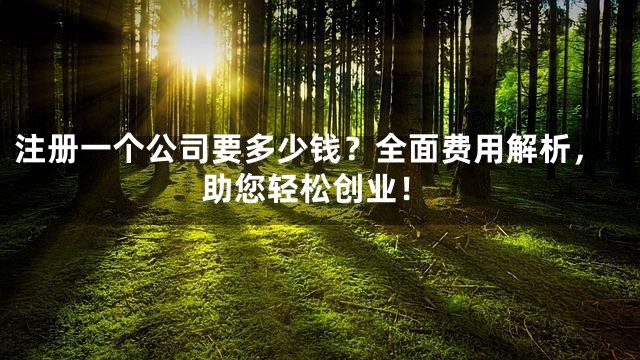 注册一个公司要多少钱？全面费用解析，助您轻松创业！