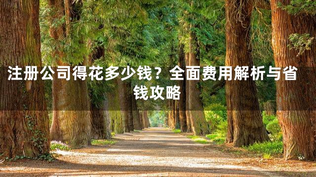 注册公司得花多少钱？全面费用解析与省钱攻略