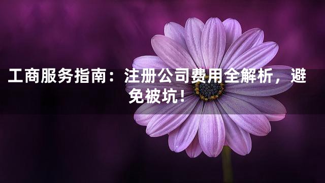 工商服务指南：注册公司费用全解析，避免被坑！