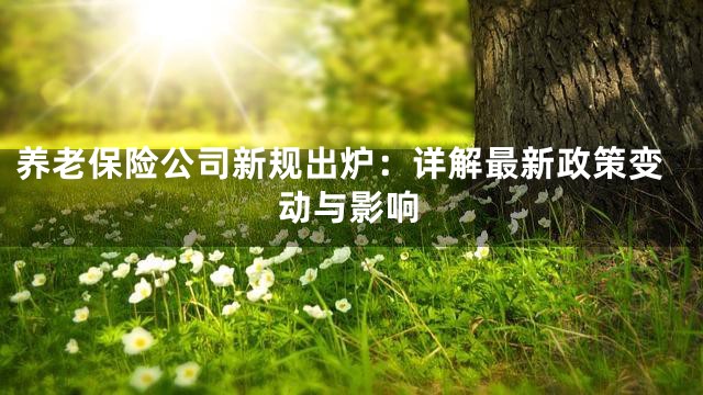 养老保险公司新规出炉：详解最新政策变动与影响