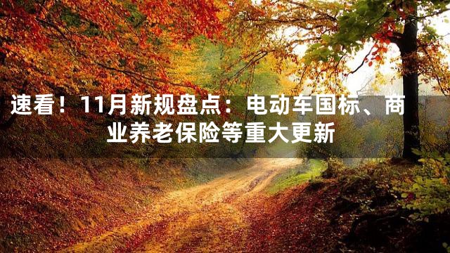 速看！11月新规盘点：电动车国标、商业养老保险等重大更新