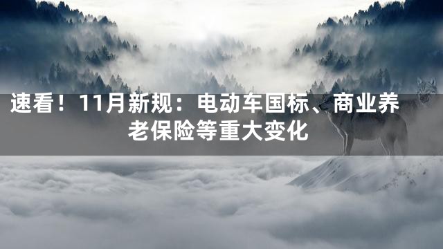 速看！11月新规：电动车国标、商业养老保险等重大变化
