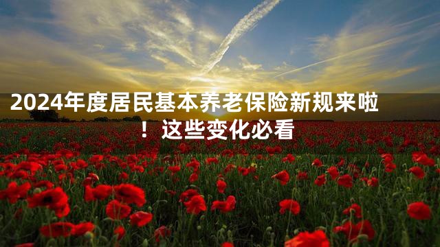 2024年度居民基本养老保险新规来啦！这些变化必看