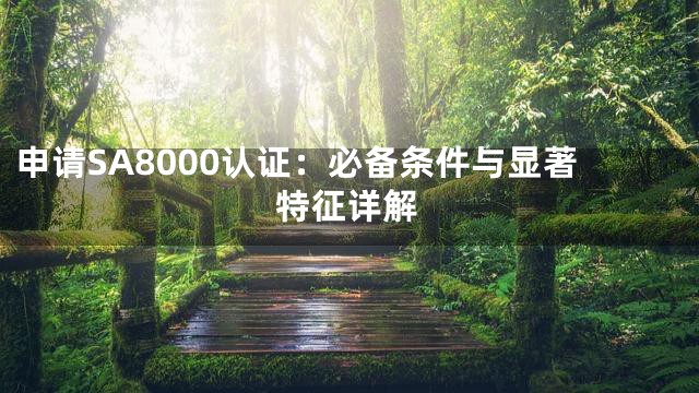 申请SA8000认证：必备条件与显著特征详解