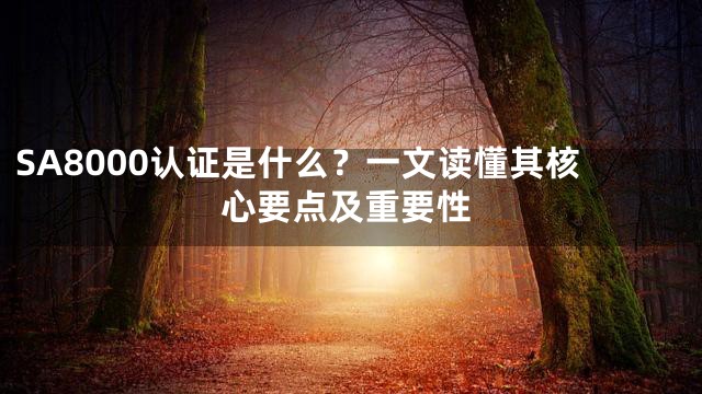 SA8000认证是什么？一文读懂其核心要点及重要性