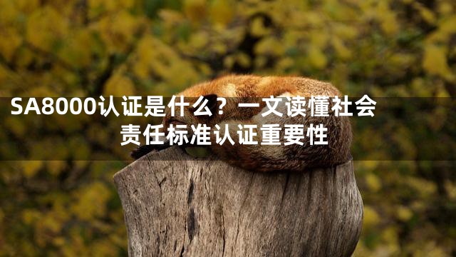 SA8000认证是什么？一文读懂社会责任标准认证重要性