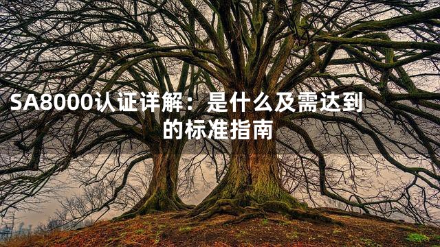 SA8000认证详解：是什么及需达到的标准指南