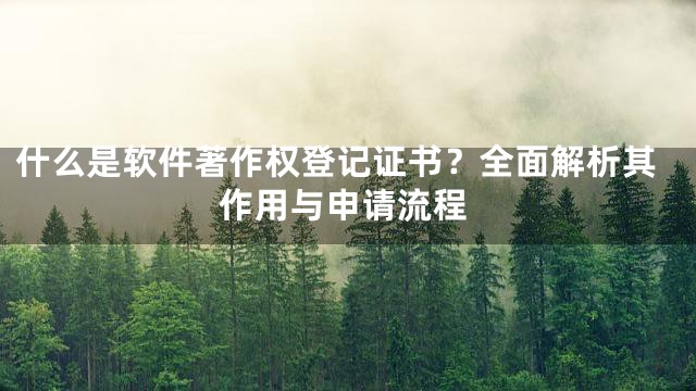 什么是软件著作权登记证书？全面解析其作用与申请流程