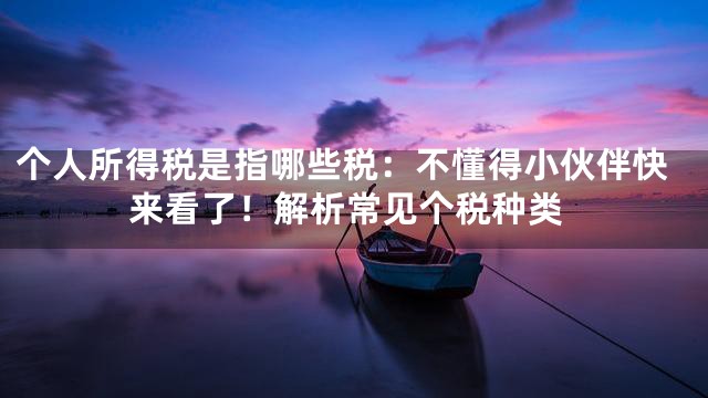 个人所得税是指哪些税：不懂得小伙伴快来看了！解析常见个税种类