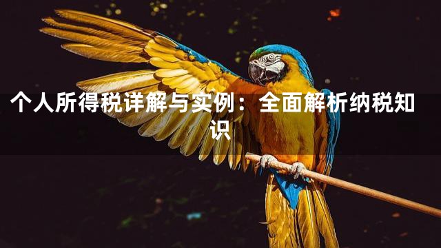 个人所得税详解与实例：全面解析纳税知识