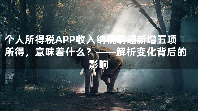 个人所得税APP收入纳税明细新增五项所得，意味着什么？——解析变化背后的影响