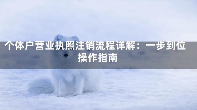 个体户营业执照注销流程详解：一步到位操作指南