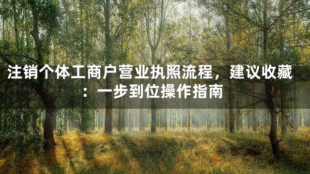 注销个体工商户营业执照流程，建议收藏：一步到位操作指南