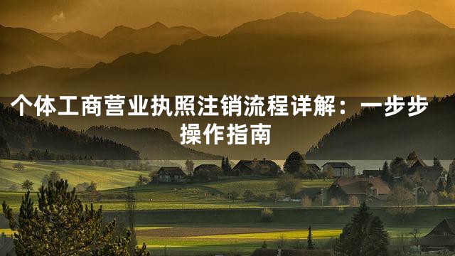 个体工商营业执照注销流程详解：一步步操作指南