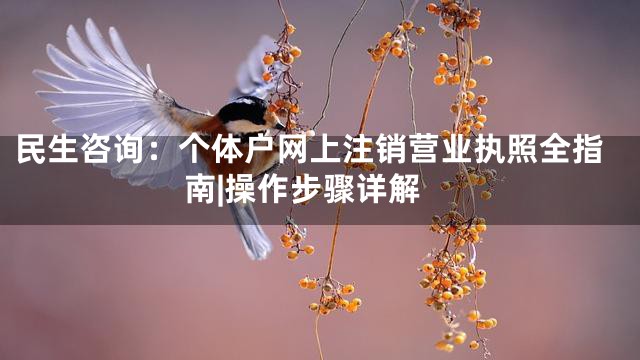 民生咨询：个体户网上注销营业执照全指南|操作步骤详解
