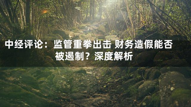 中经评论：监管重拳出击 财务造假能否被遏制？深度解析