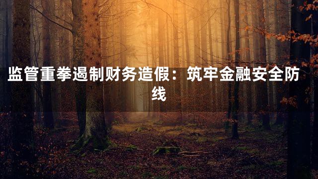 监管重拳遏制财务造假：筑牢金融安全防线