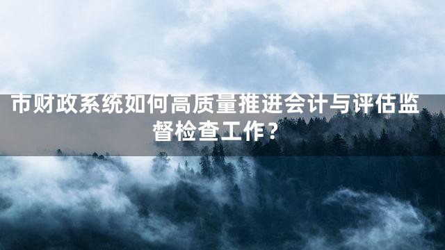 市财政系统如何高质量推进会计与评估监督检查工作？