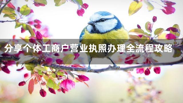 分享个体工商户营业执照办理全流程攻略