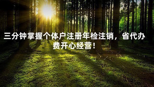 三分钟掌握个体户注册年检注销，省代办费开心经营！