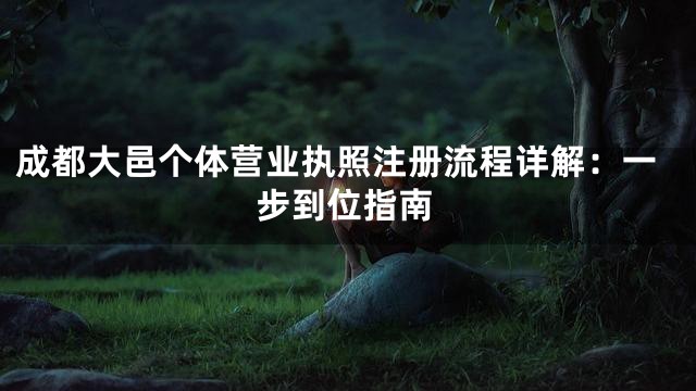 成都大邑个体营业执照注册流程详解：一步到位指南