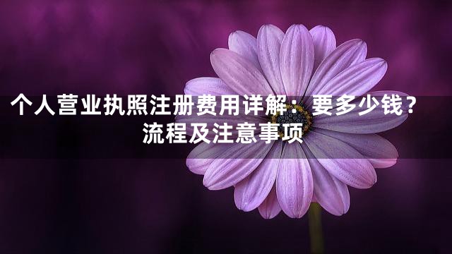 个人营业执照注册费用详解：要多少钱？流程及注意事项