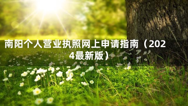 南阳个人营业执照网上申请指南（2024最新版）