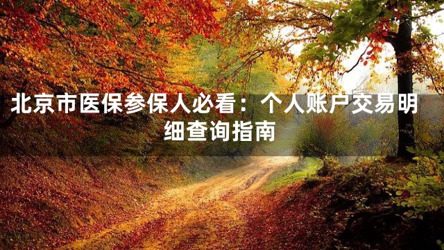 北京市医保参保人必看：个人账户交易明细查询指南