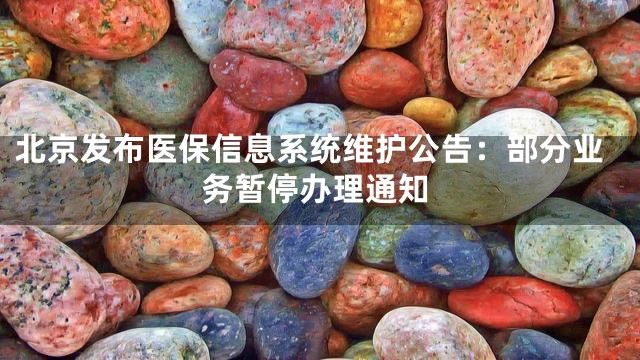 北京发布医保信息系统维护公告：部分业务暂停办理通知