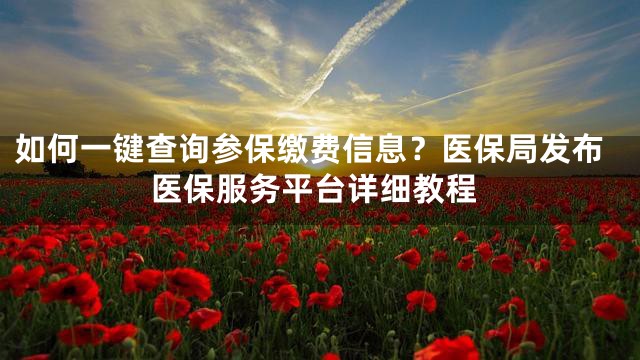 如何一键查询参保缴费信息？医保局发布医保服务平台详细教程