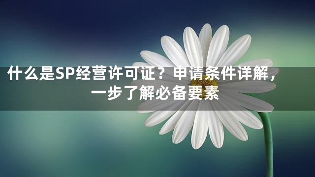 什么是SP经营许可证？申请条件详解，一步了解必备要素