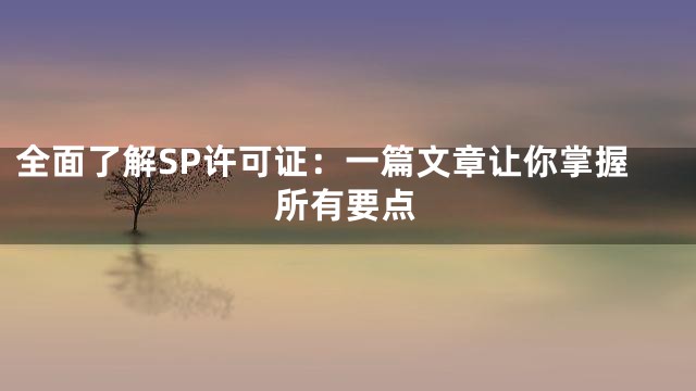 全面了解SP许可证：一篇文章让你掌握所有要点