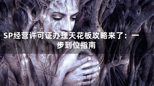 SP经营许可证办理天花板攻略来了：一步到位指南