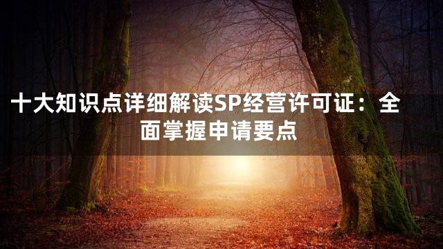 十大知识点详细解读SP经营许可证：全面掌握申请要点