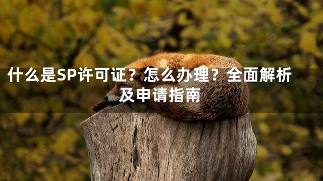 什么是SP许可证？怎么办理？全面解析及申请指南