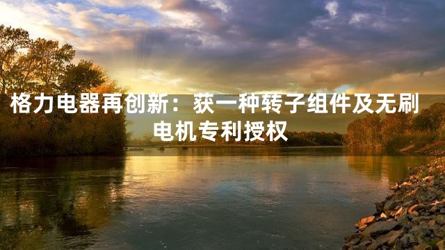 格力电器再创新：获一种转子组件及无刷电机专利授权