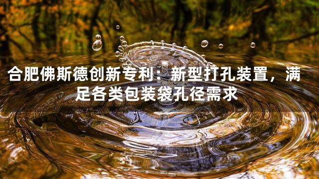 合肥佛斯德创新专利：新型打孔装置，满足各类包装袋孔径需求