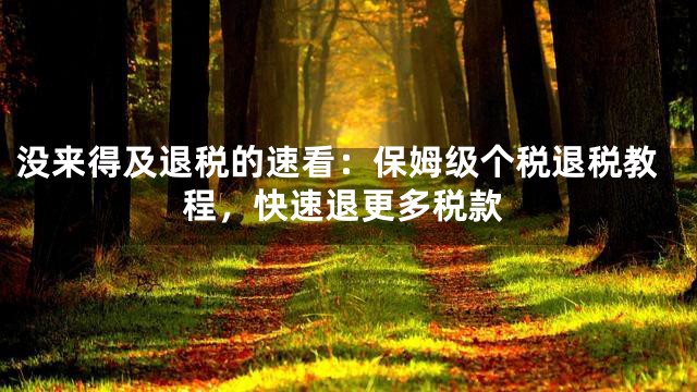 没来得及退税的速看：保姆级个税退税教程，快速退更多税款