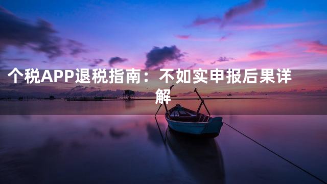 个税APP退税指南：不如实申报后果详解