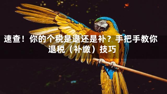 速查！你的个税是退还是补？手把手教你退税（补缴）技巧