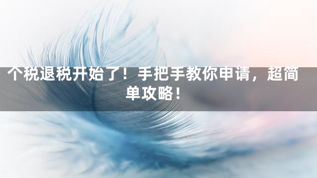 个税退税开始了！手把手教你申请，超简单攻略！