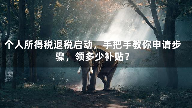个人所得税退税启动，手把手教你申请步骤，领多少补贴？