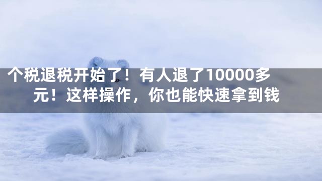 个税退税开始了！有人退了10000多元！这样操作，你也能快速拿到钱