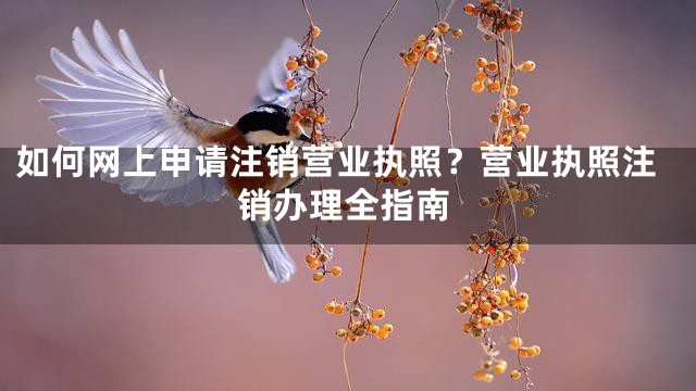 如何网上申请注销营业执照？营业执照注销办理全指南
