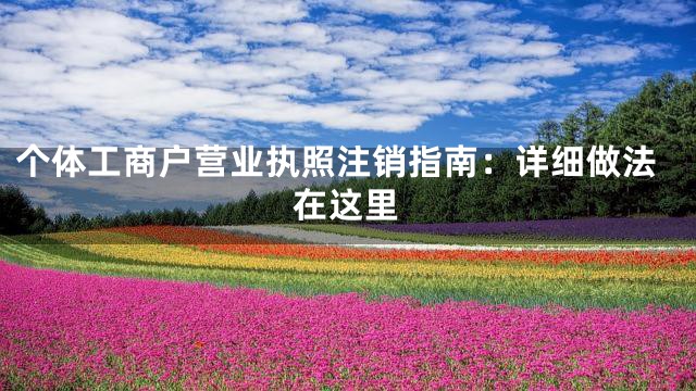 个体工商户营业执照注销指南：详细做法在这里