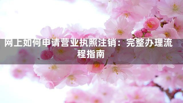 网上如何申请营业执照注销：完整办理流程指南
