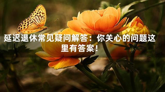 延迟退休常见疑问解答：你关心的问题这里有答案！